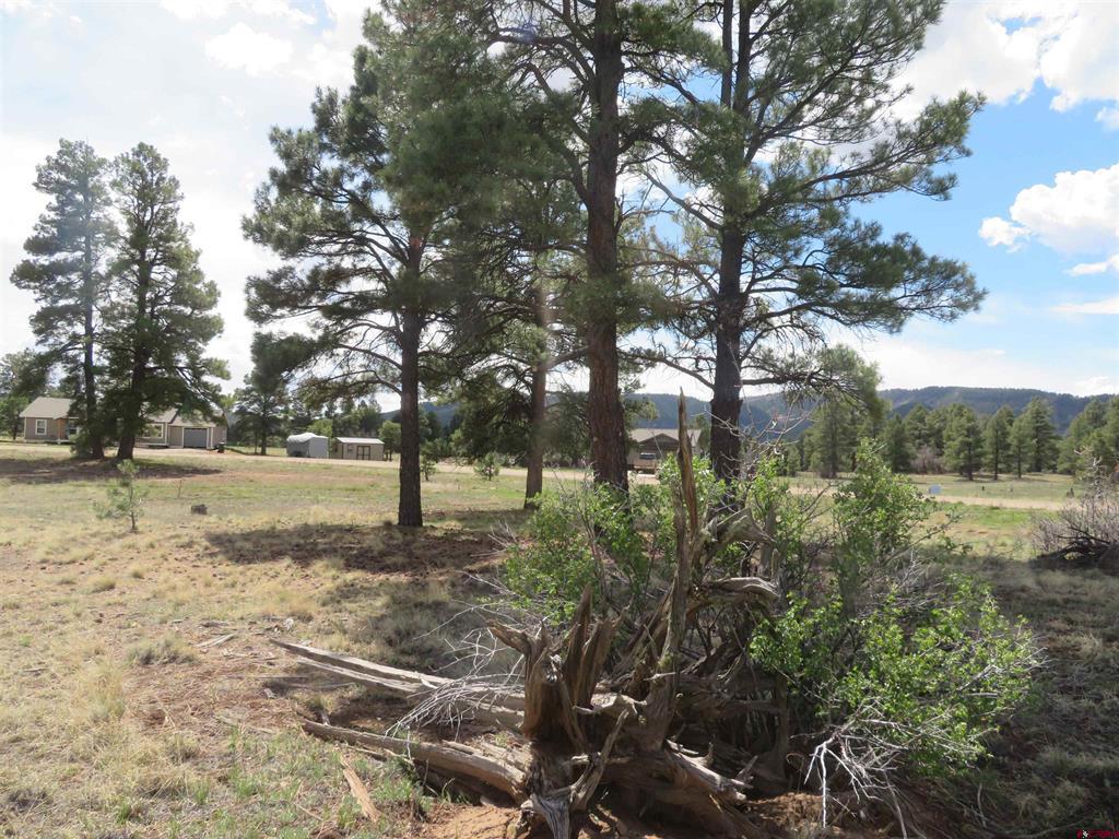 317 Domicile Circle Property Photo 12