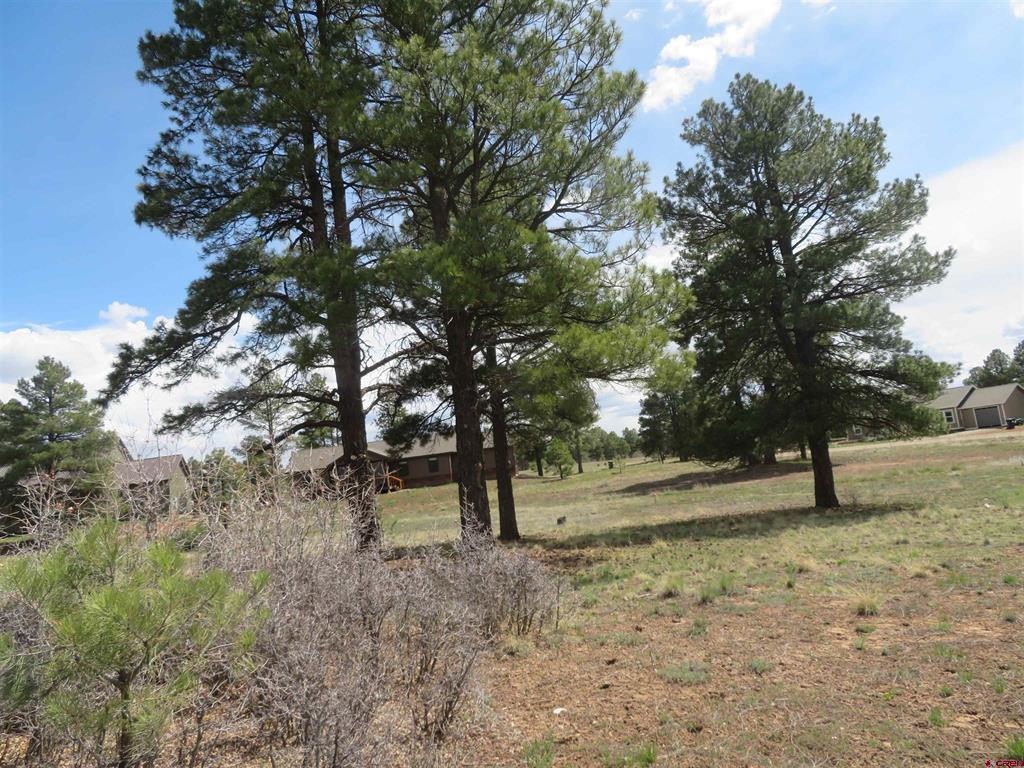 317 Domicile Circle Property Photo 13