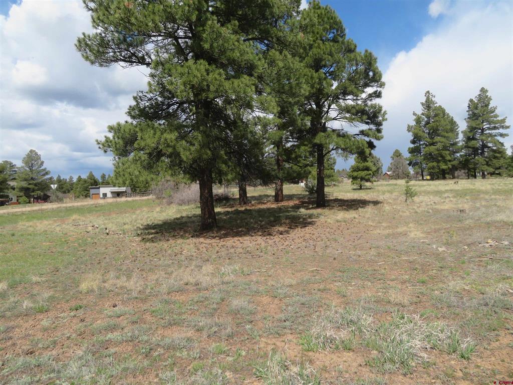 317 Domicile Circle Property Photo 14