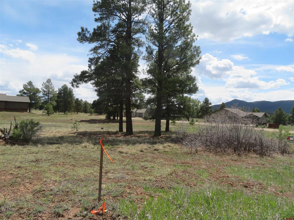 317 Domicile Circle Property Photo 16