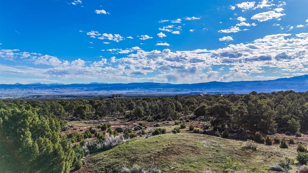 61651 V61 Trail Property Photo 8