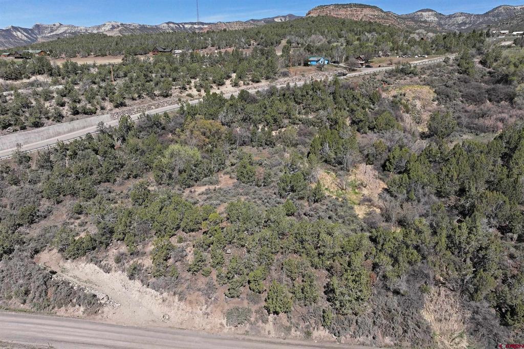 58450 Buzzard Creek Road Property Photo 3
