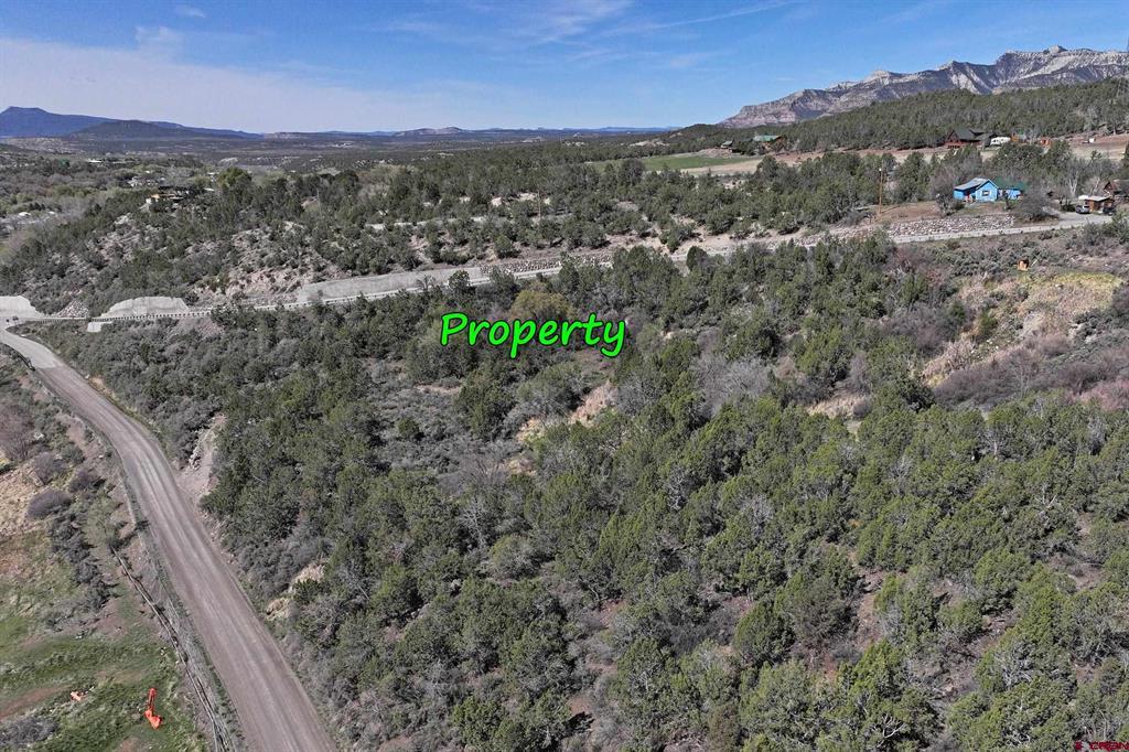 58450 Buzzard Creek Road Property Photo 5