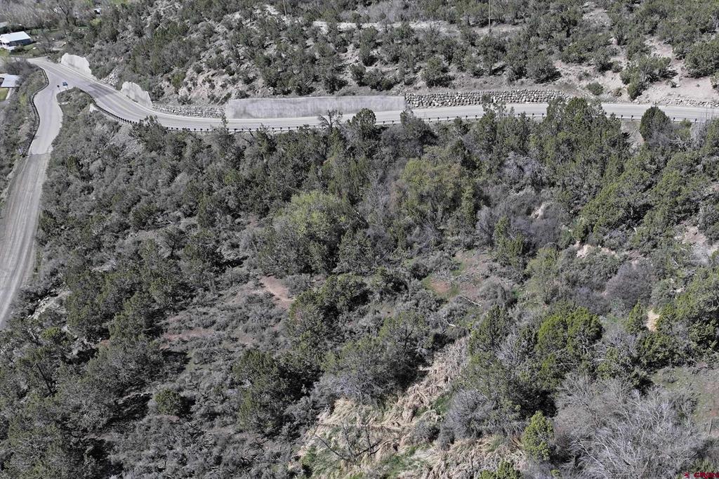 58450 Buzzard Creek Road Property Photo 6