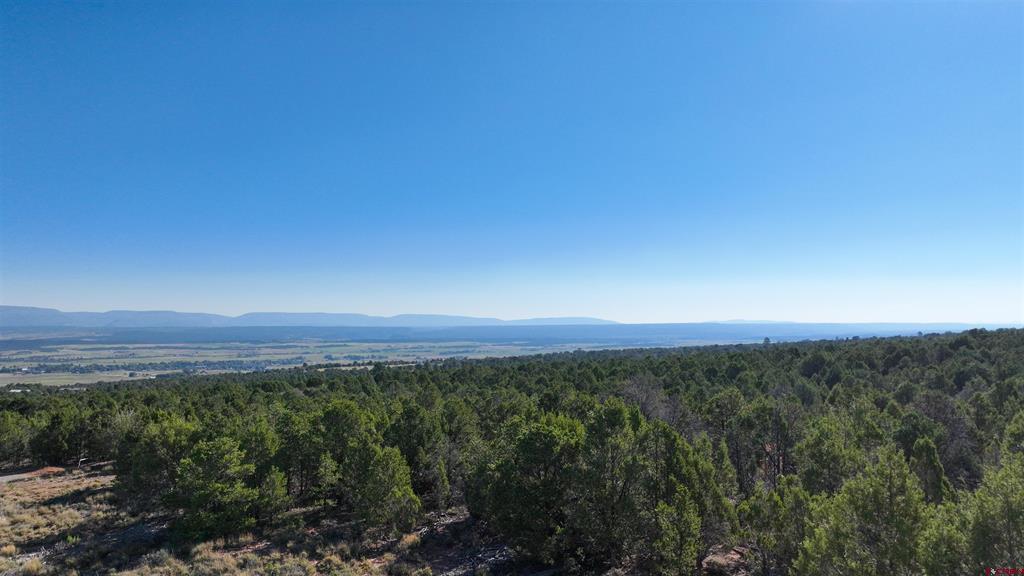 246 La Mesa Vista Drive Property Photo 17