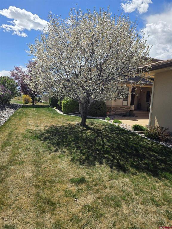 3000 Belle Haven Way Property Photo 18
