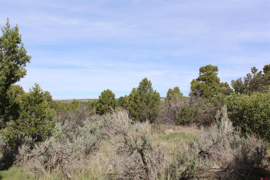 15767 Road M.9 Property Photo 30