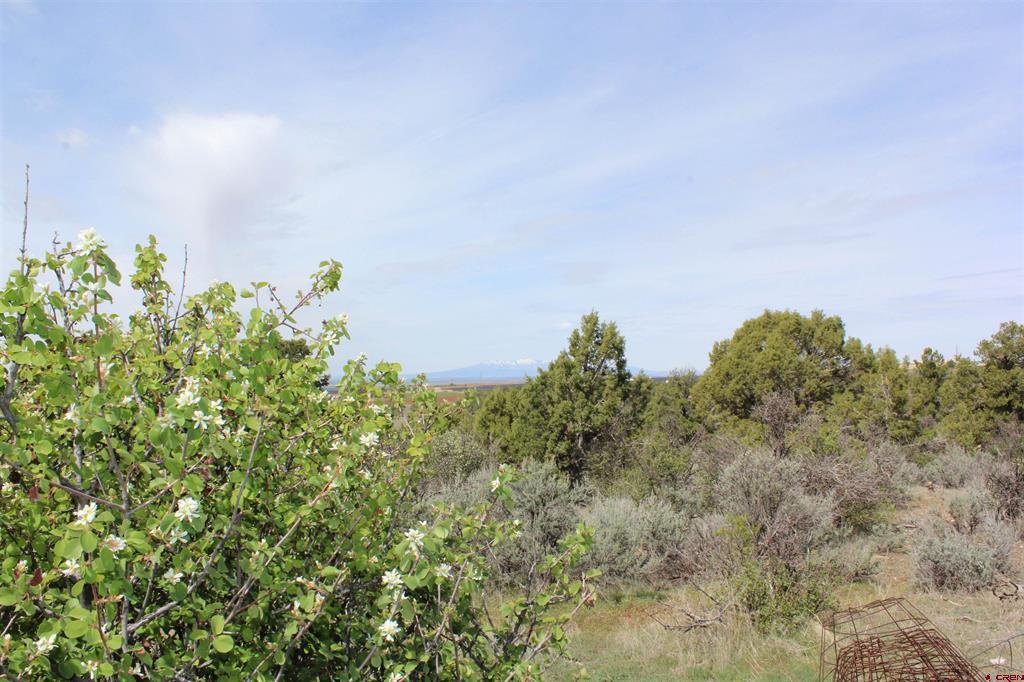 15767 Road M.9 Property Photo 31