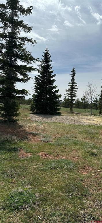 15767 Road M.9 Property Photo 36