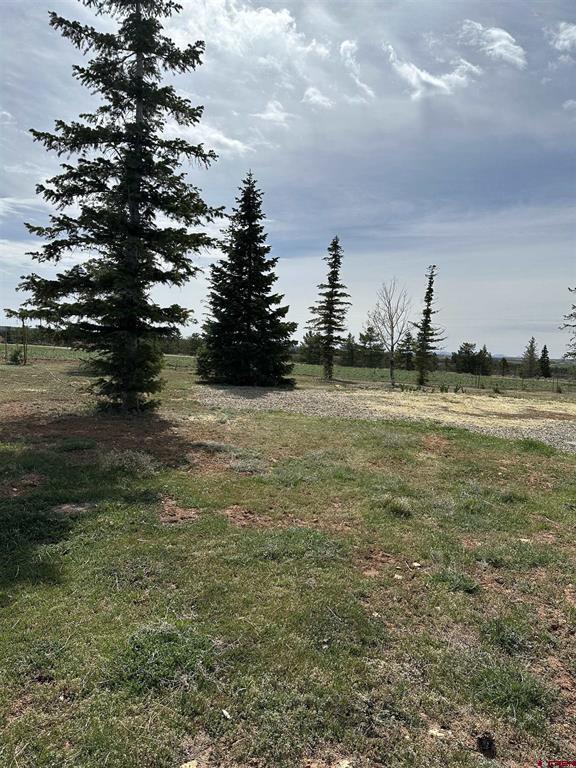 15767 Road M.9 Property Photo 38
