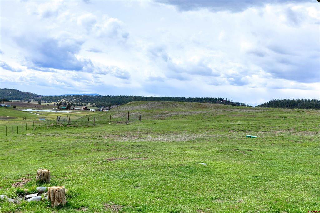 6115 Highway 84 Property Photo 18
