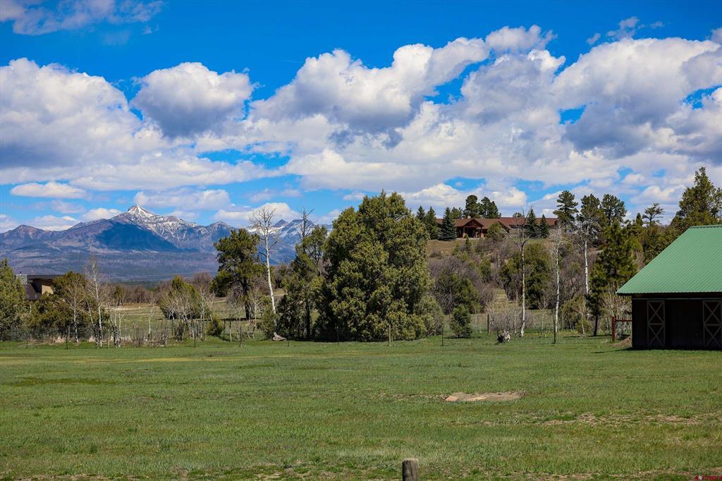 50 Rifle Place Property Photo 42
