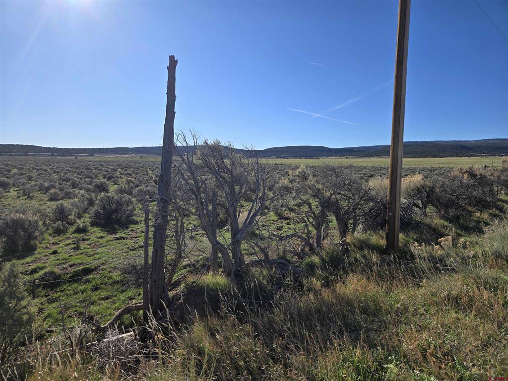Tbd 16 1/2 Road Property Photo 1