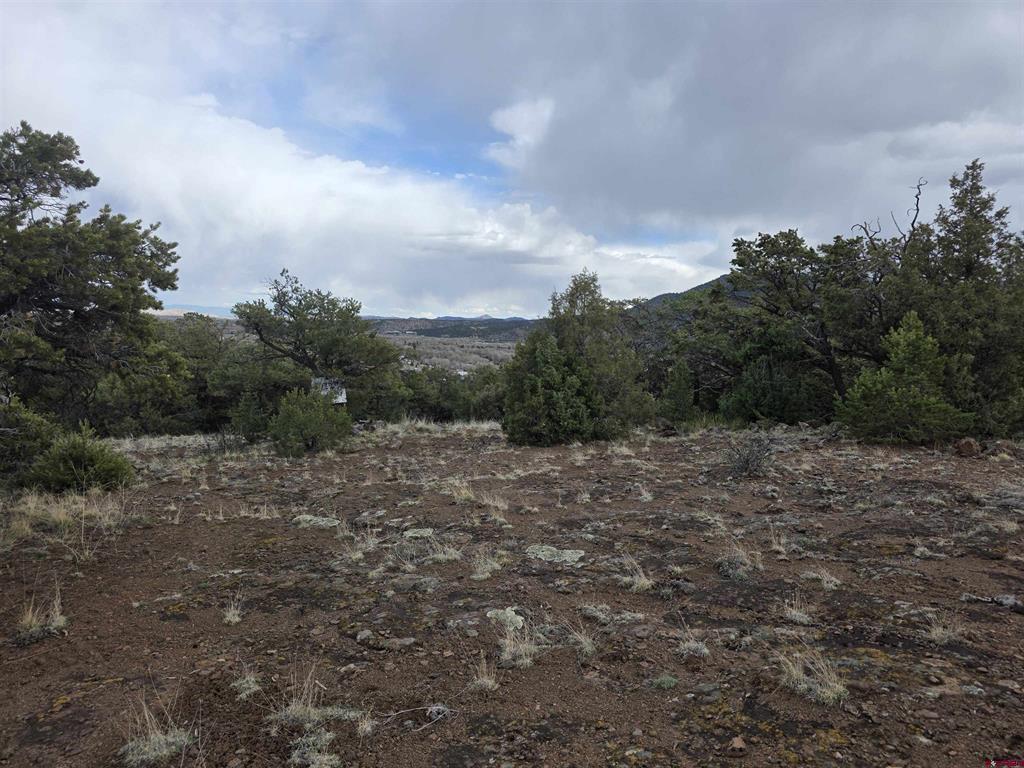 326 Pikes Peak Road Property Photo 1