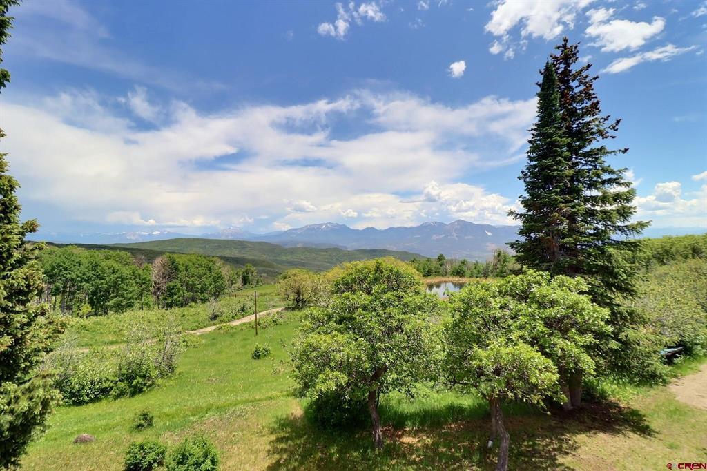 37830 Roatcap Road Property Photo 6