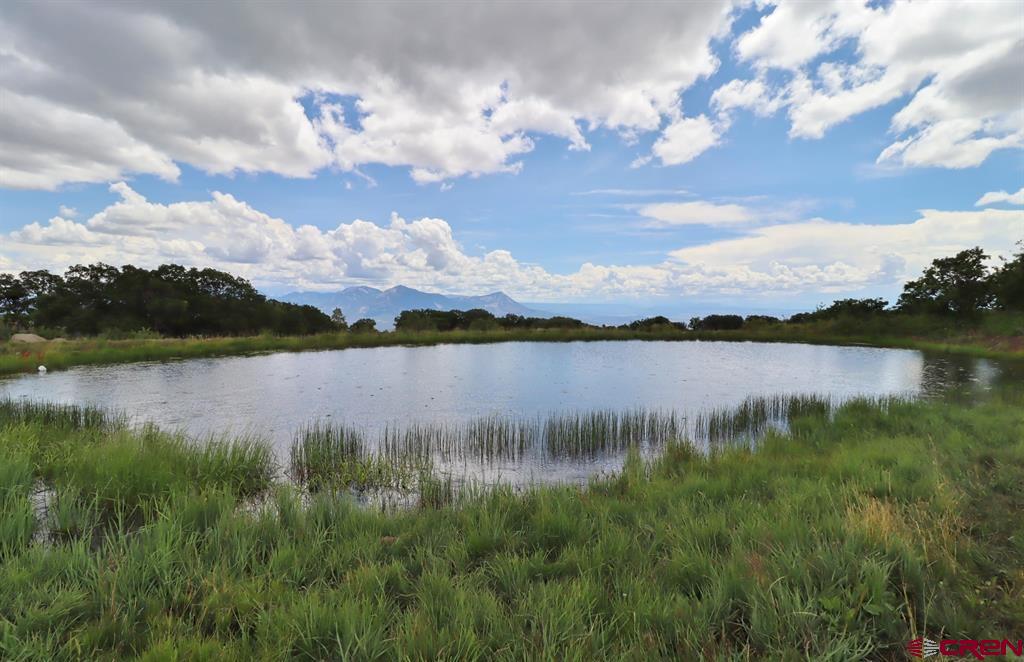 37830 Roatcap Road Property Photo 7