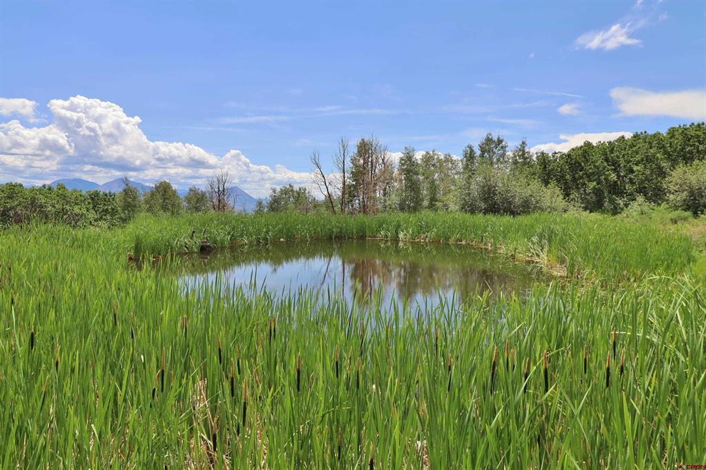 37830 Roatcap Road Property Photo 8
