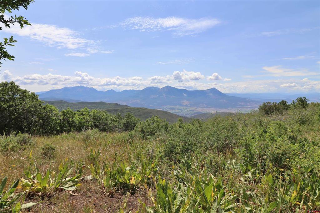 37830 Roatcap Road Property Photo 43