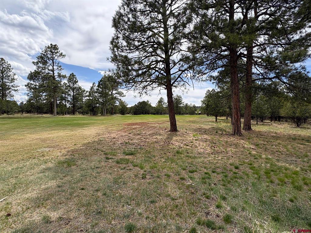 1711 Marmot Drive Property Photo 3