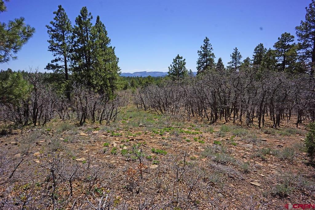 6 Tbd Road T.7 Property Photo 5