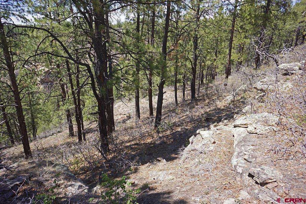6 Tbd Road T.7 Property Photo 7