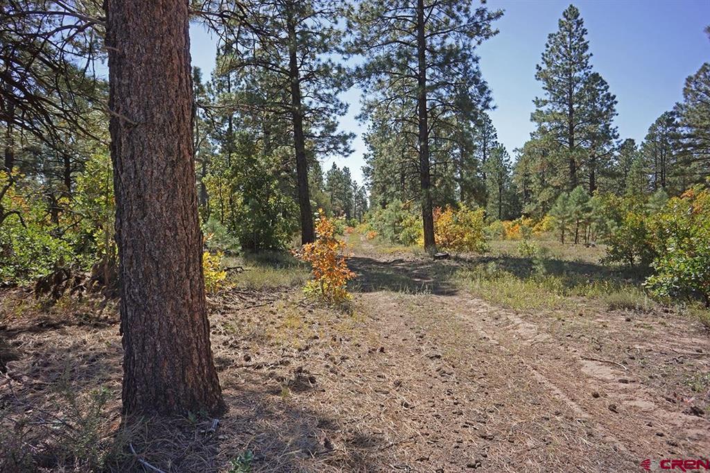 7 Road T.7 Property Photo 3