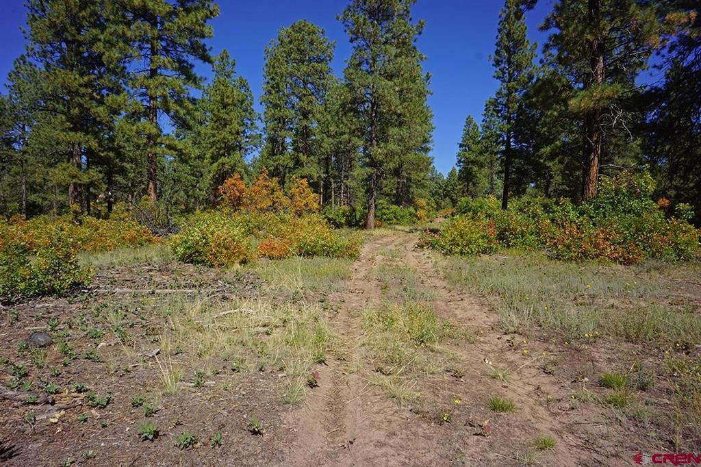 7 Road T.7 Property Photo 4