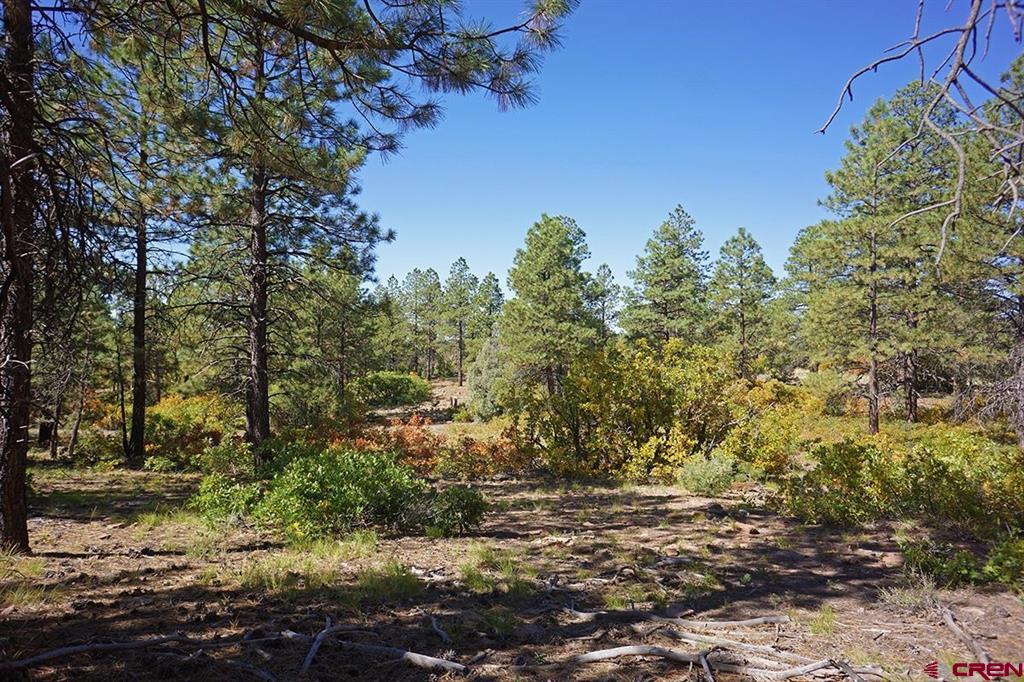 7 Road T.7 Property Photo 11