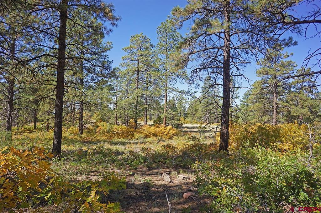 7 Road T.7 Property Photo 13
