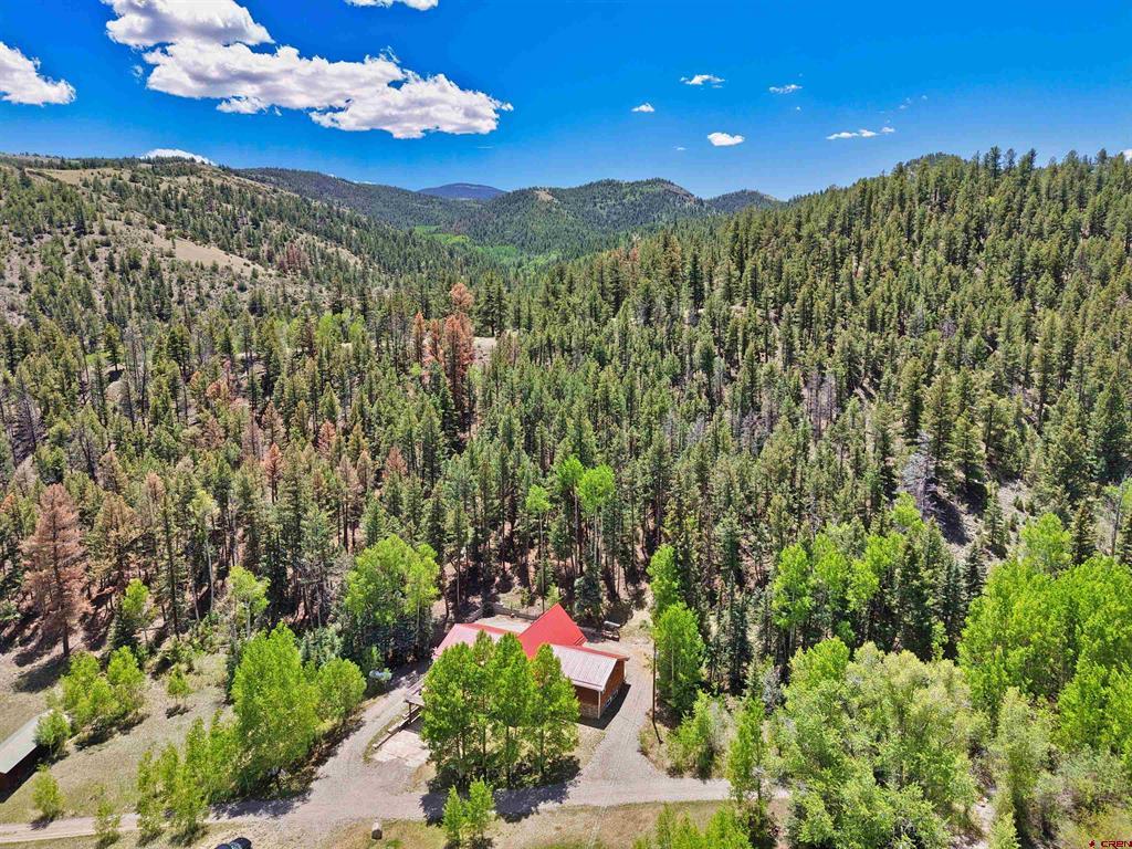 11993 Castle Rock Road Property Photo 44