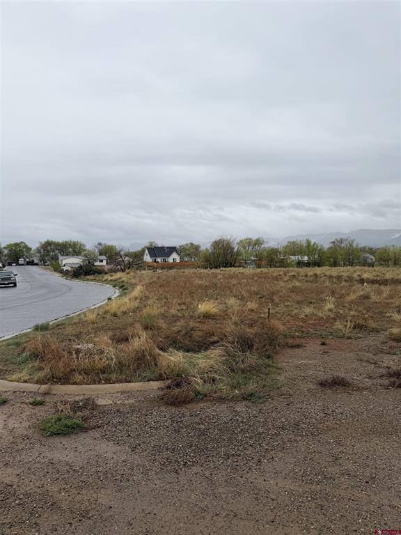 Tbd Chisholm Pl And Jarret Ave Property Photo 1