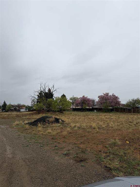 Tbd Chisholm Pl And Jarret Ave Property Photo 3