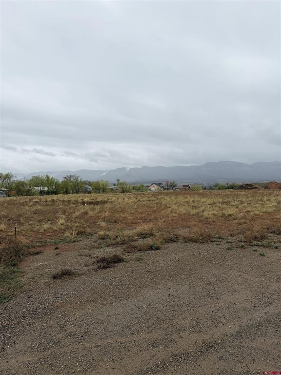 Tbd Chisholm Pl And Jarret Ave Property Photo 5