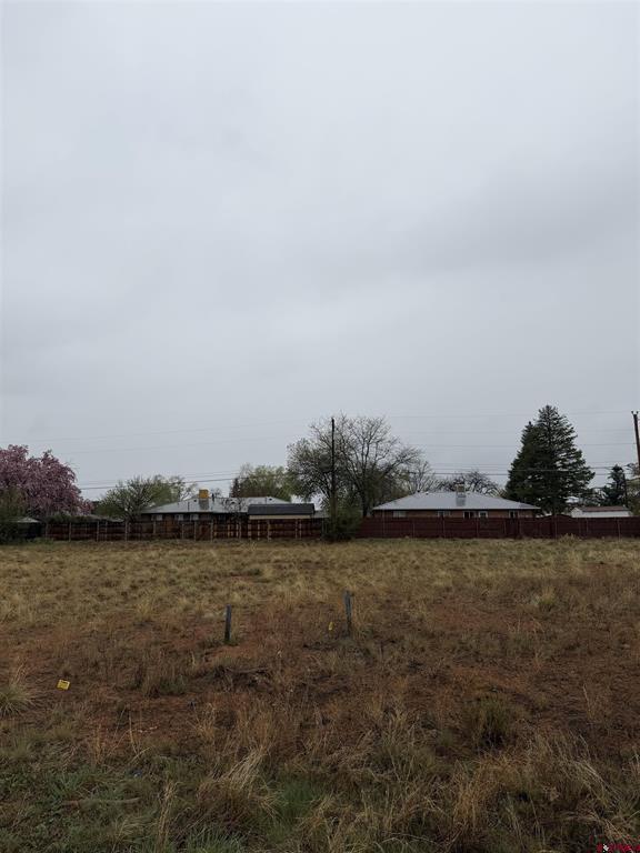 Tbd Chisholm Pl And Jarret Ave Property Photo 6
