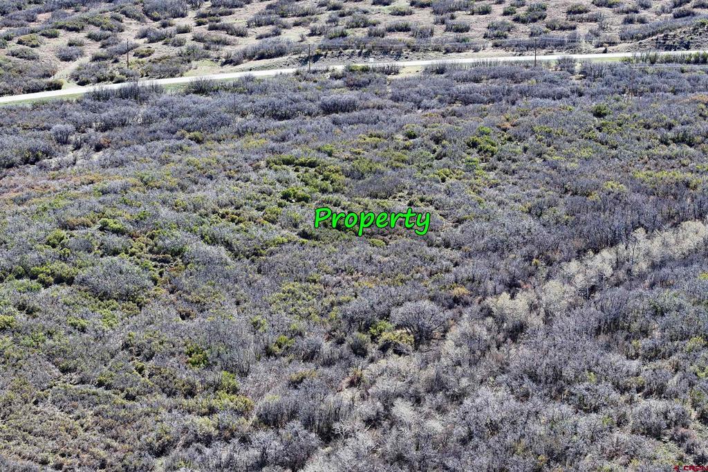 5962 Highway 65 Property Photo 5