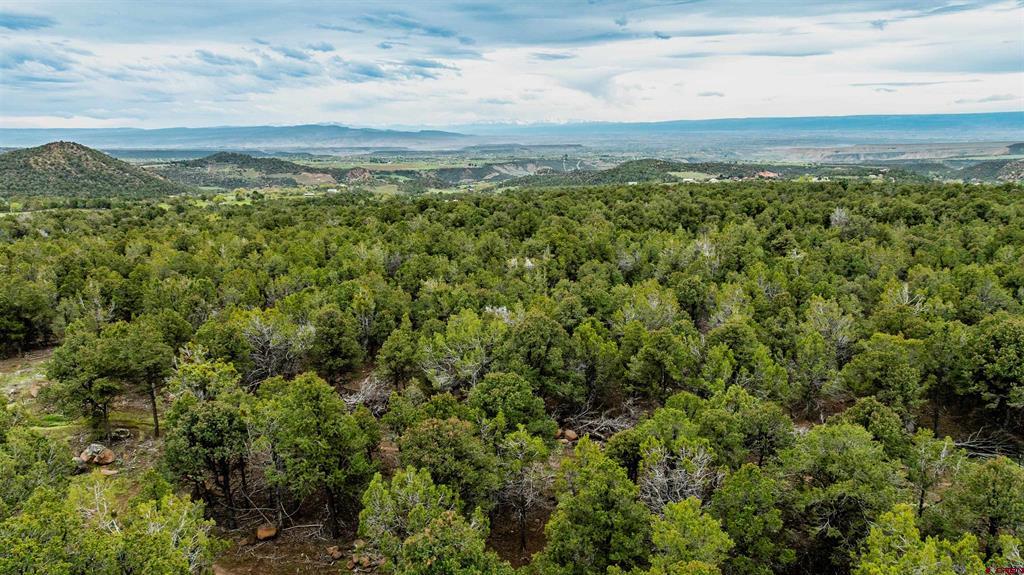 21186 Uintah Road Property Photo 44