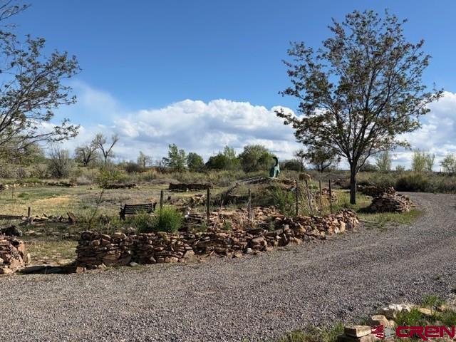 51233 Carnation Road Property Photo 6