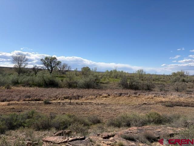 51233 Carnation Road Property Photo 7