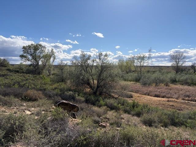 51233 Carnation Road Property Photo 8