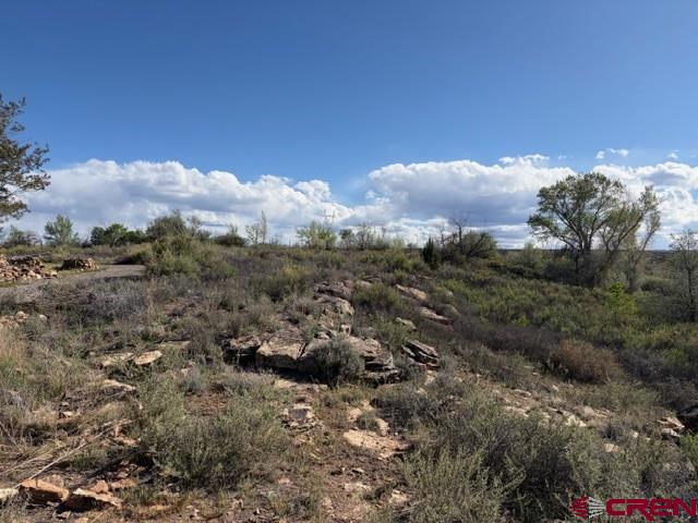 51233 Carnation Road Property Photo 9