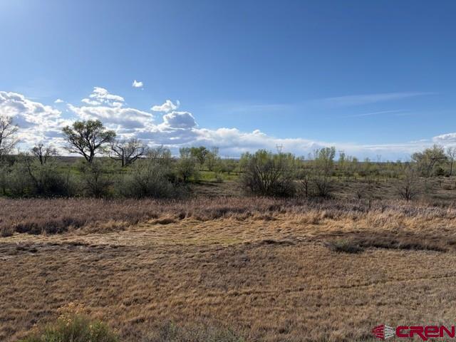 51233 Carnation Road Property Photo 19