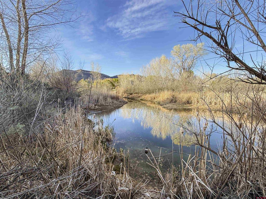 5900 Road 25 Property Photo 5
