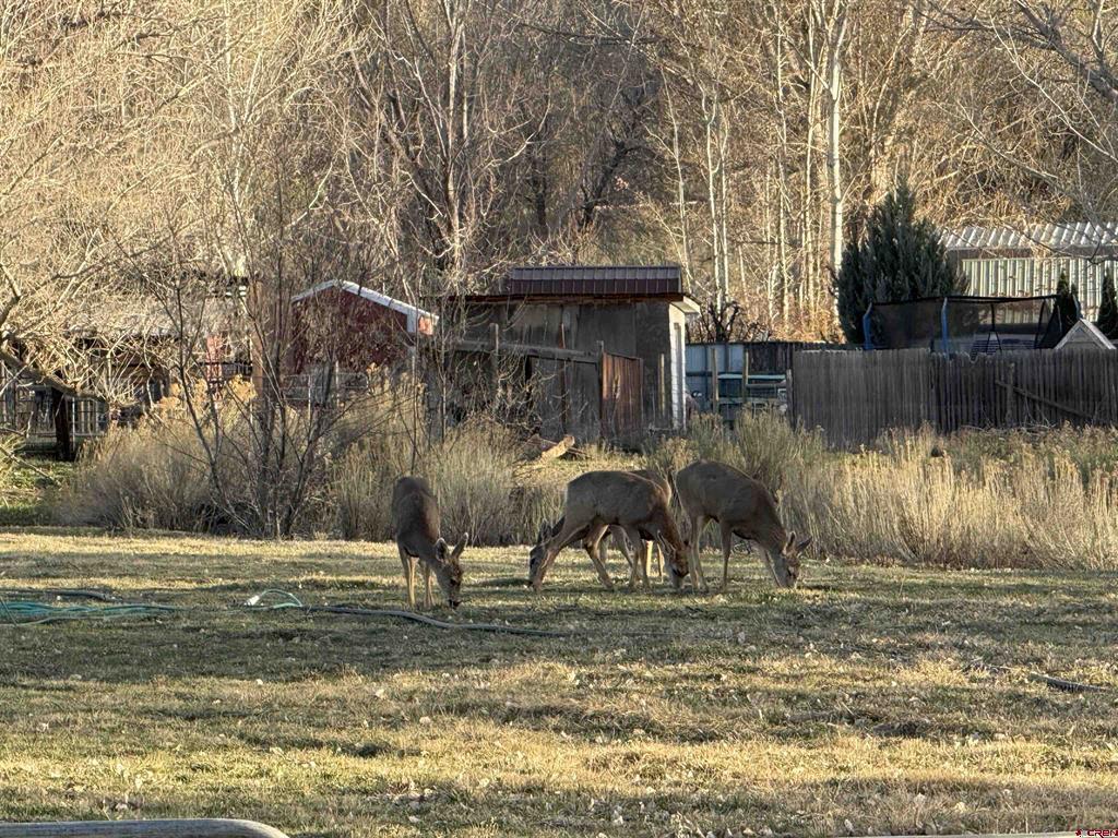5900 Road 25 Property Photo 36