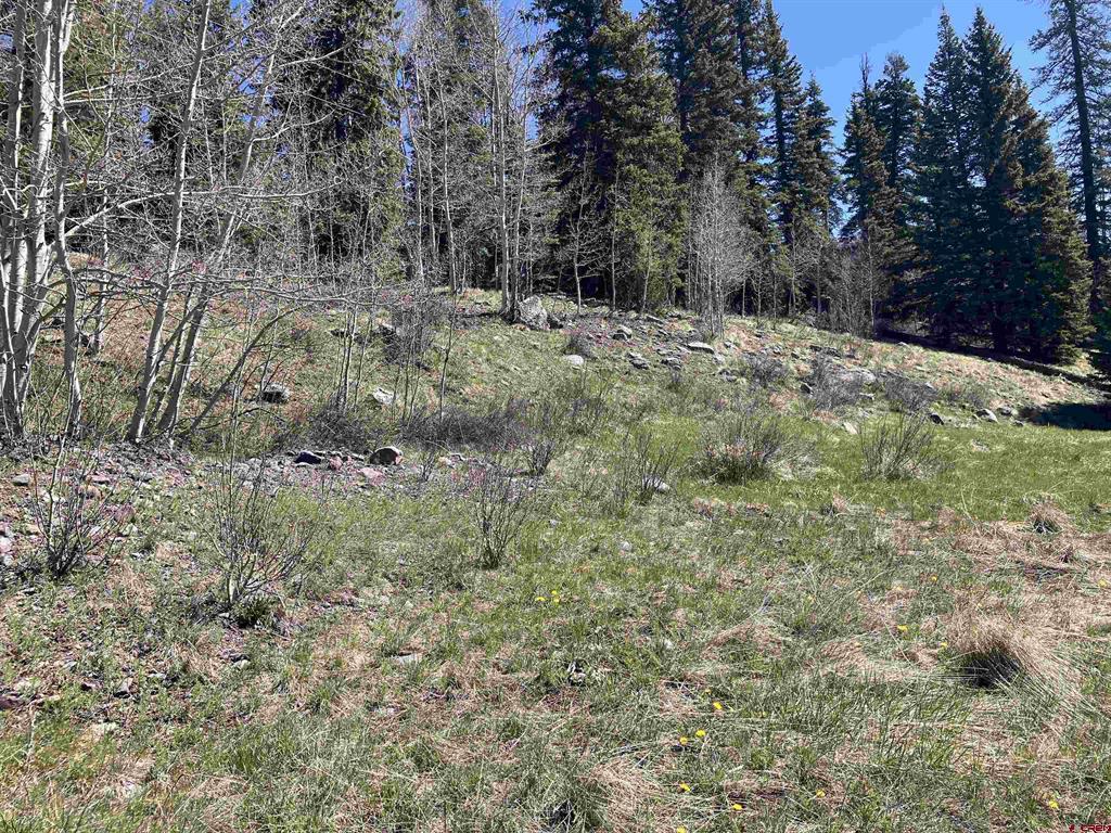 222 Lost Valley Drive Property Photo 3