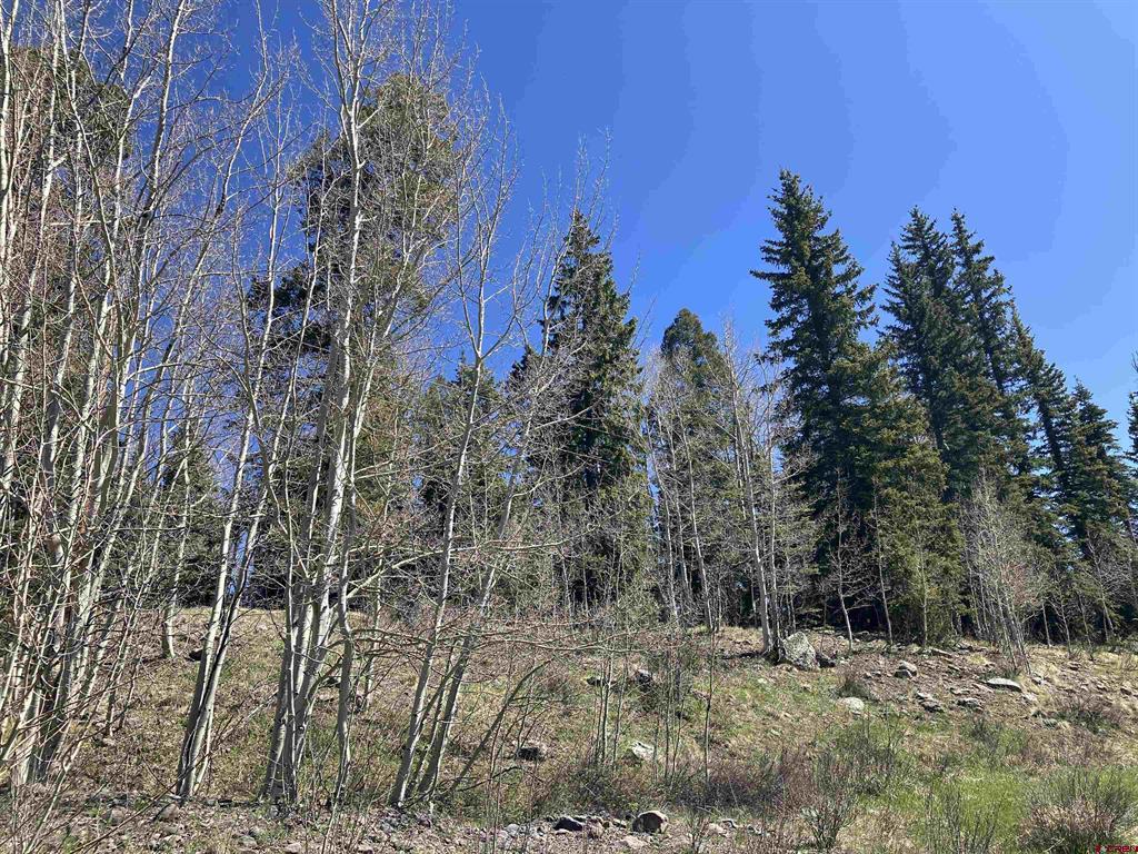 222 Lost Valley Drive Property Photo 8
