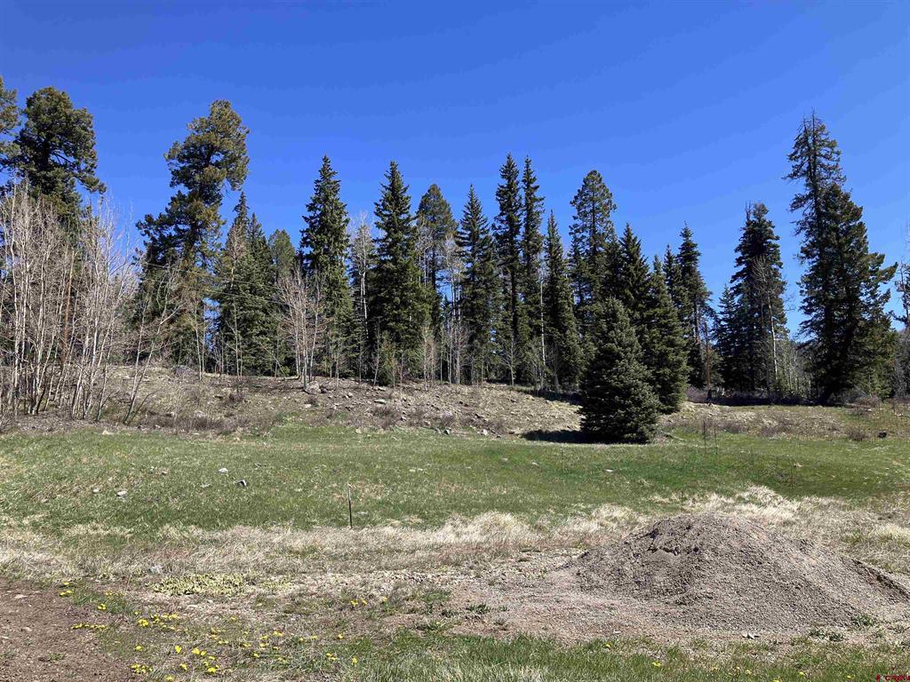 222 Lost Valley Drive Property Photo 13
