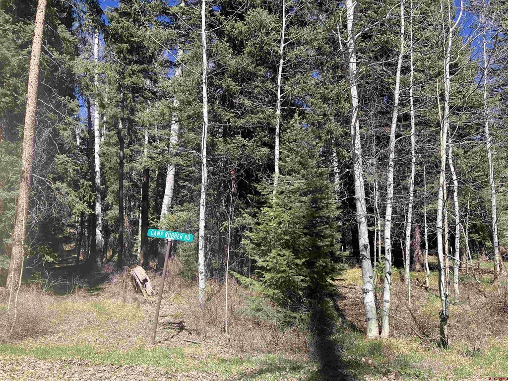 222 Lost Valley Drive Property Photo 24