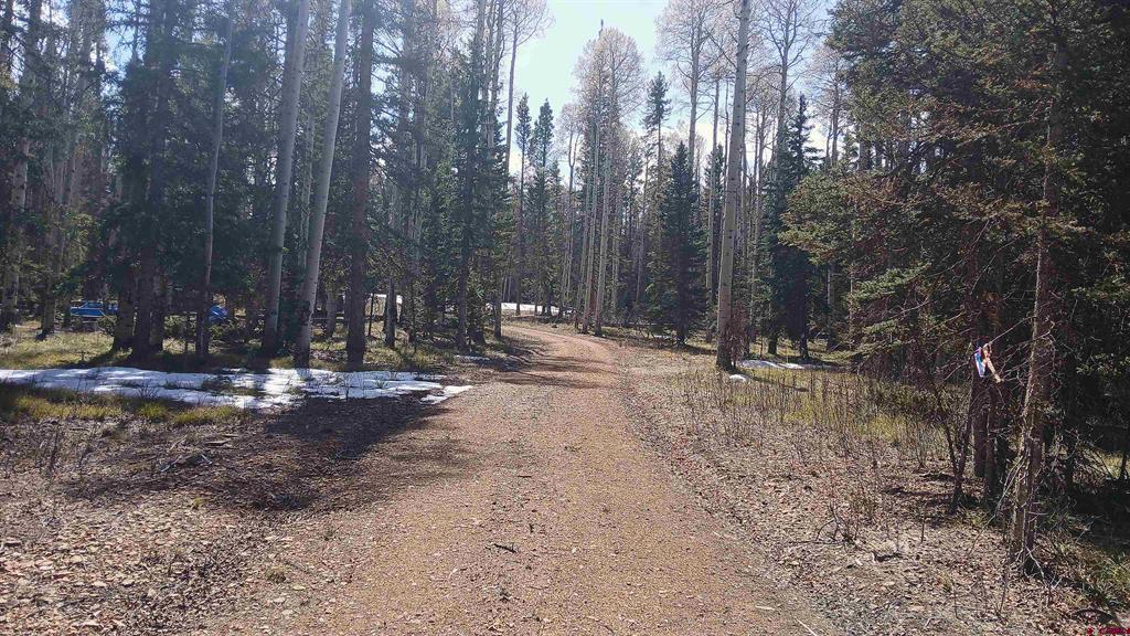 395 Aspen Trail Property Photo 2