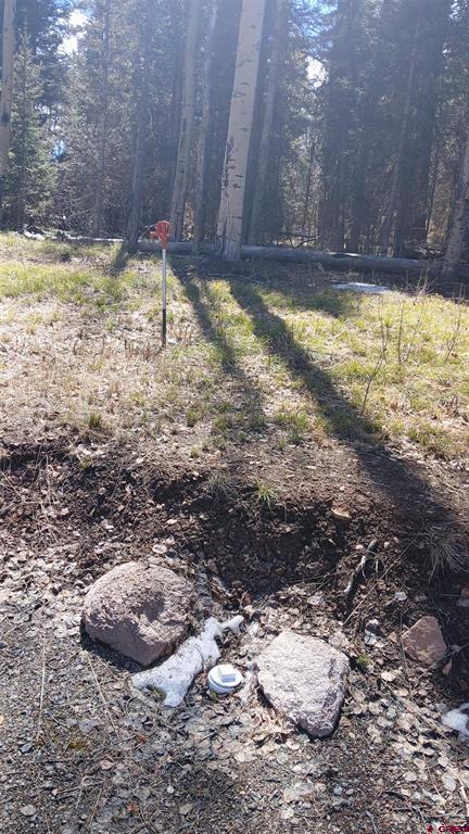 395 Aspen Trail Property Photo 9