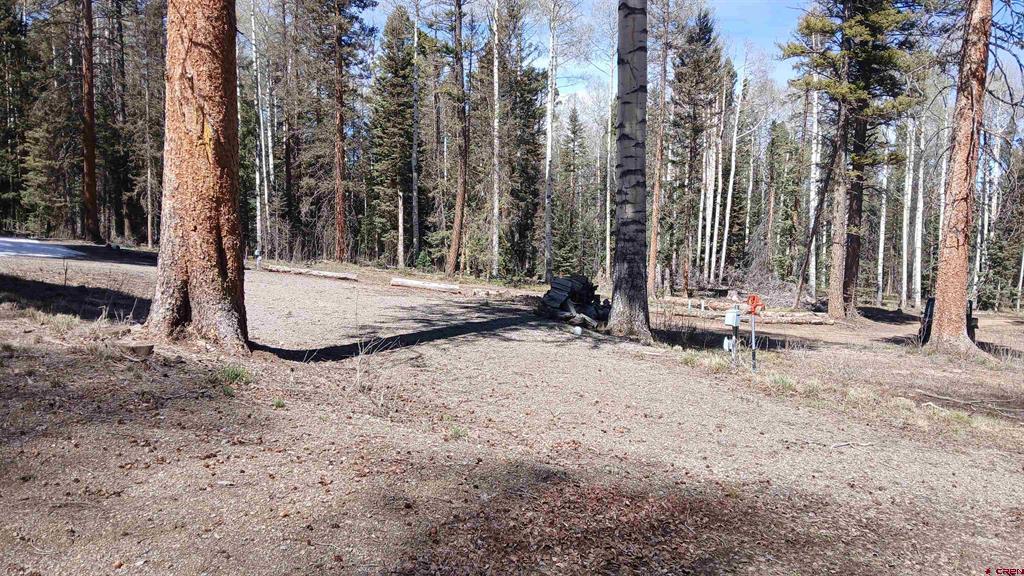395 Aspen Trail Property Photo 10